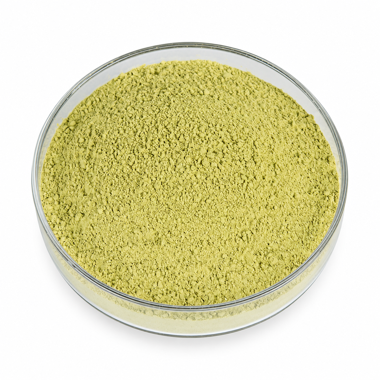 Spinach Powder — representative unbranded ingredient image