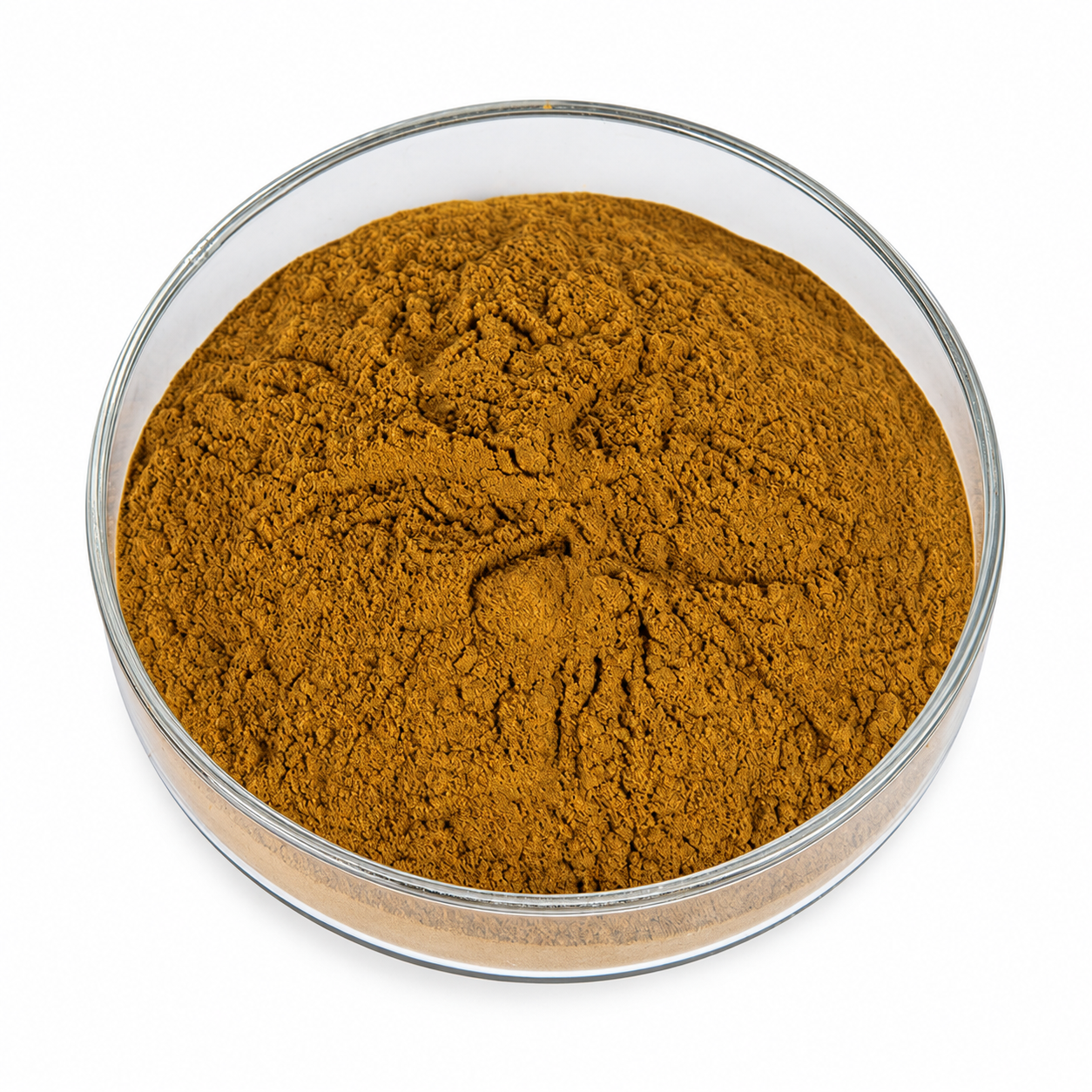 Eucommia Leaf Extract — representative unbranded ingredient image